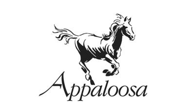 related-corporate-office-appaloosa.png