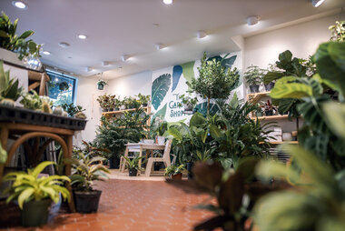 Press_GardenShoppe_Plant Revolution.jpg