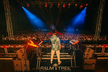 PalmTreeFestival.jpg