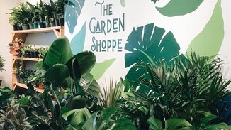 related-southeast-office-360-rosemary-spotlight-spotlight_3 garden shoppe.jpg