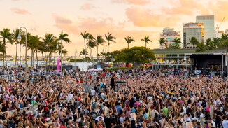 Palm Tree Festival WPB.jpg