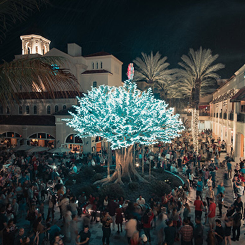 Arts & Culture_The Wishing Tree_Sub Hero 1_edited.jpg