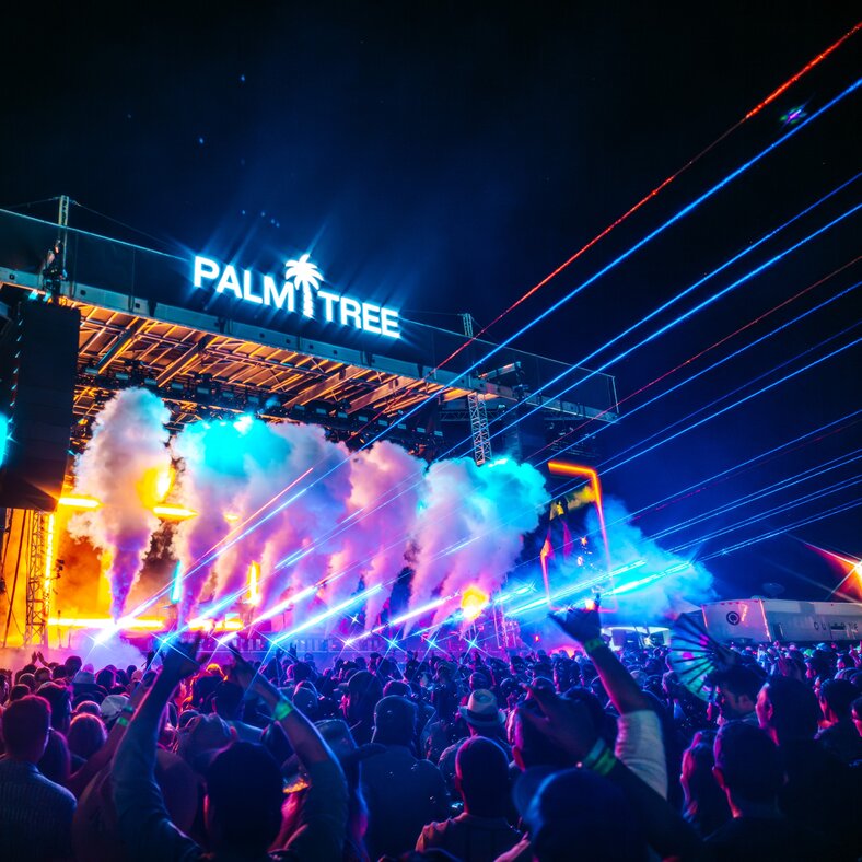 Palm Tree Festival Crop.jpg