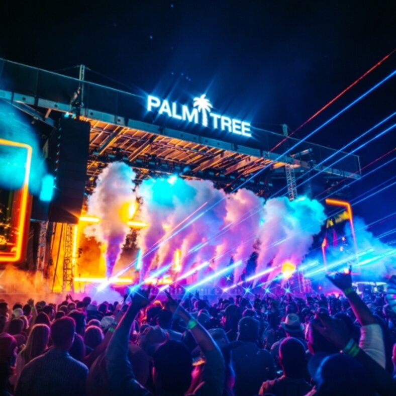 Palm Tree Music Festival Photo.jpg