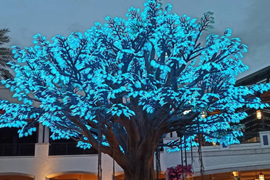 related-corporate-news-landscape-wishing-tree.jpg